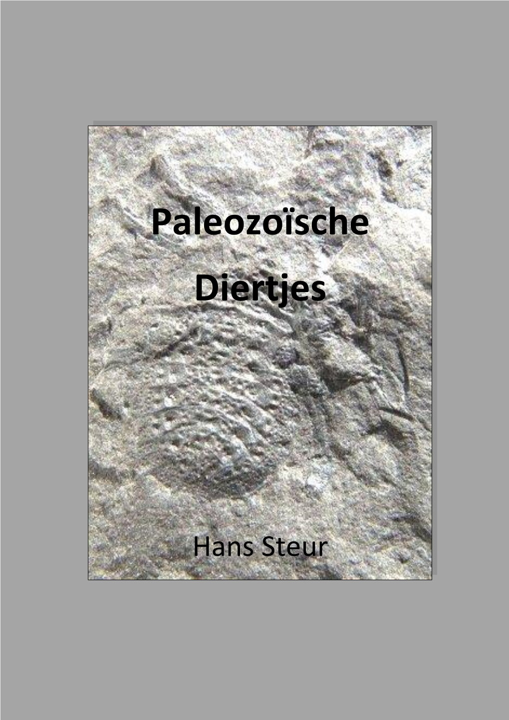 Paleozoïsche Diertjes