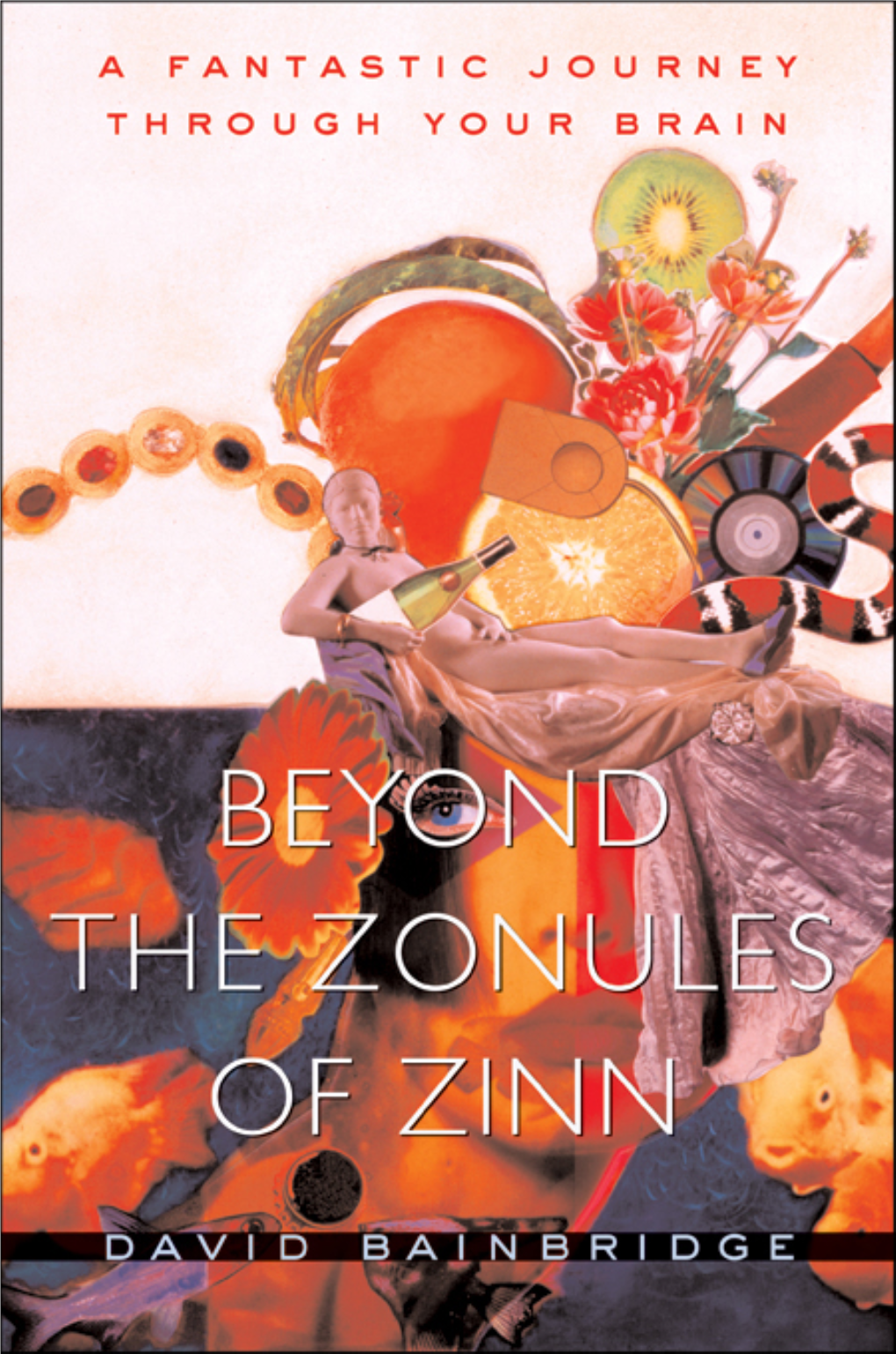 Beyond the Zonules of Zinn: the Fantastic Journey Through Your Brain