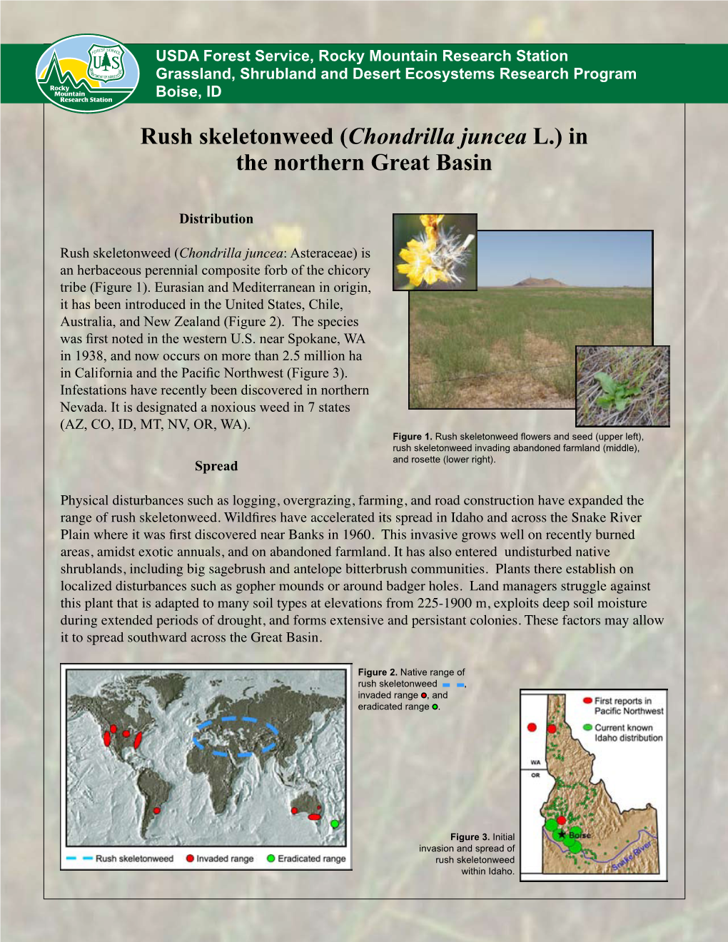 Rush Skeletonweed (Chondrilla Juncea L.) in the Northern Great Basin