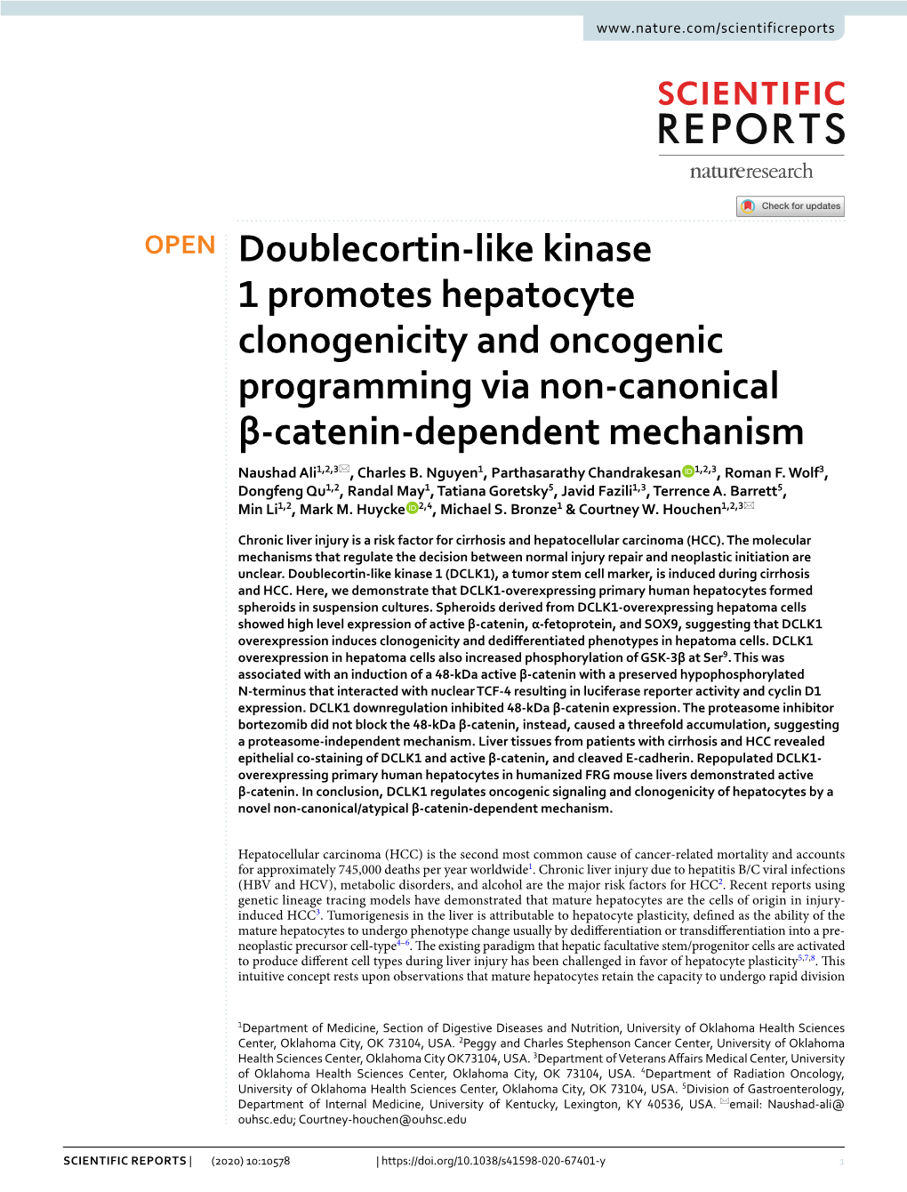 Doublecortin-Like Kinase 1 Promotes Hepatocyte Clonogenicity and Oncogenic Programming Via Non-Canonical Β-Catenin-Dependent Me