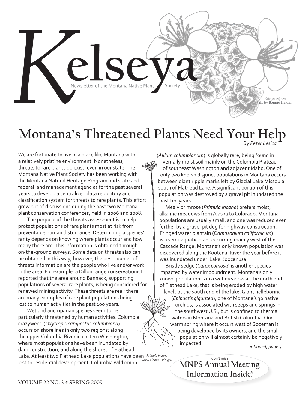 Spring 2009 Issue of the Kelseya