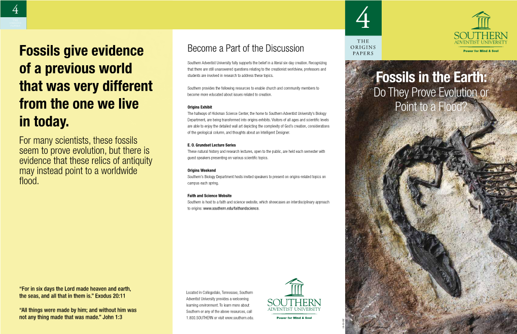 Fossils in the Earth