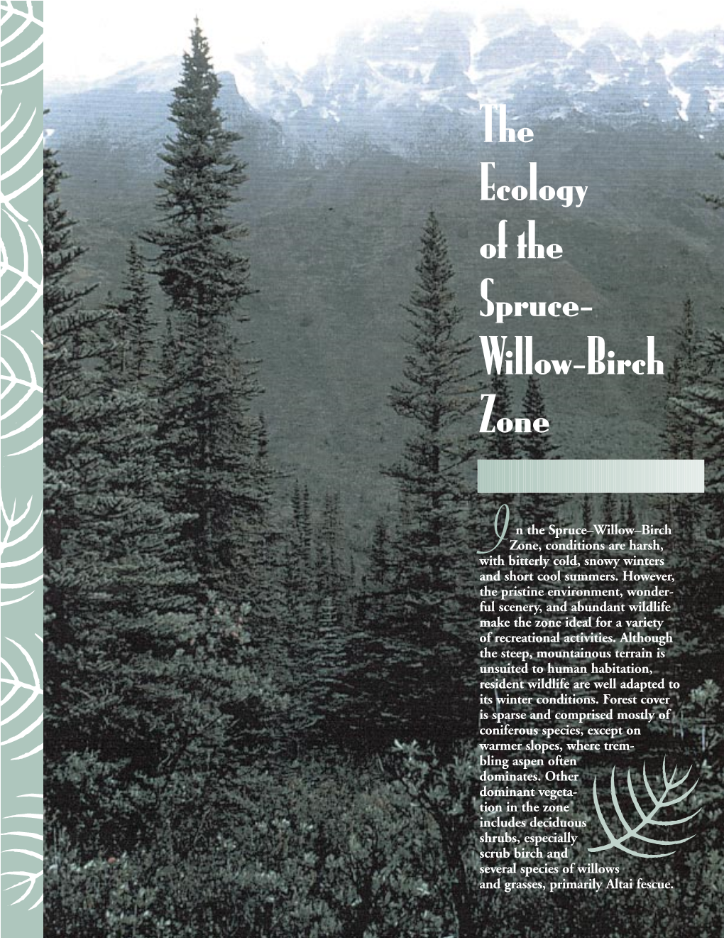 The Ecology of the Spruce- Willow-Birch Zone