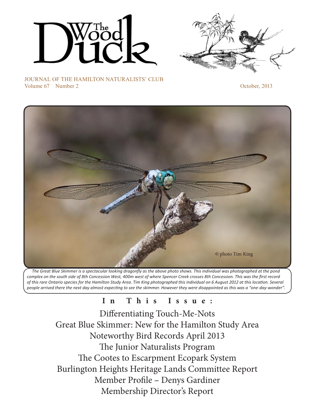 Differentiating Touch-Me-Nots Great Blue Skimmer: New for The
