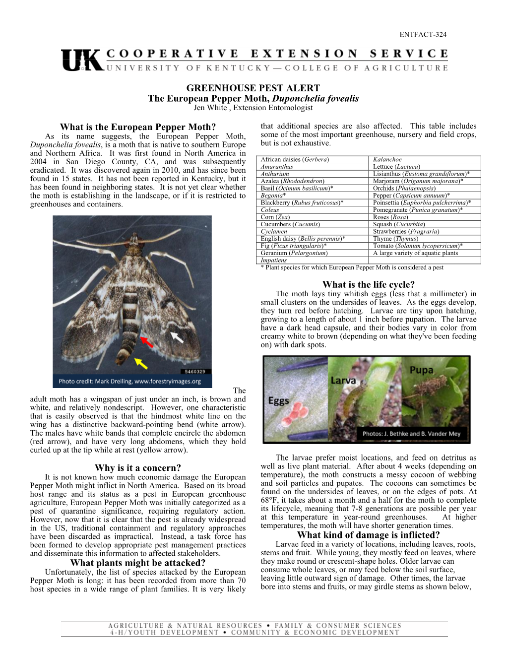Greenhouse Pest Alert: the European Pepper Moth