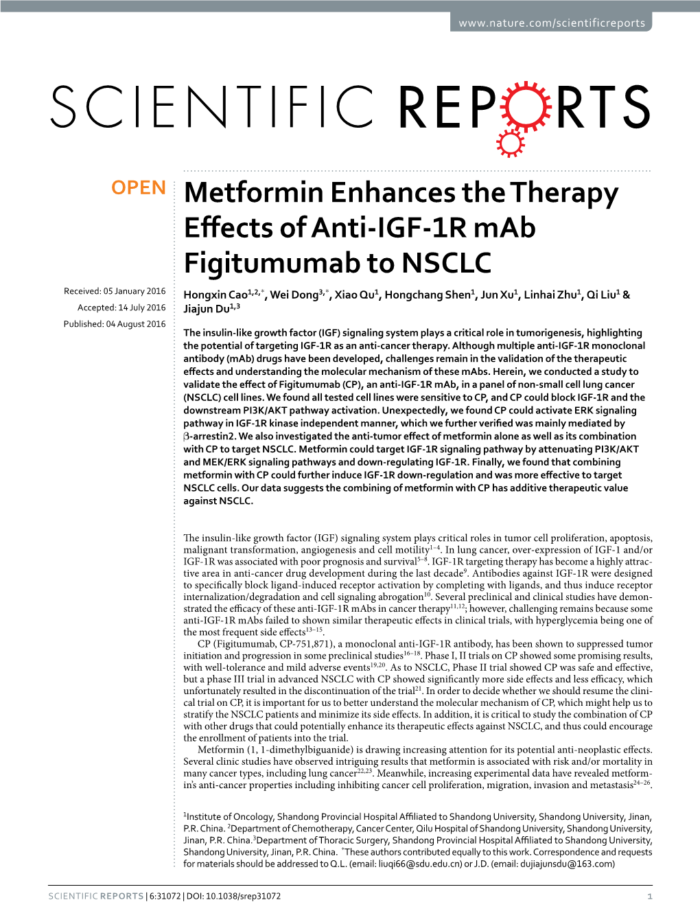 Metformin Enhances the Therapy Effects of Anti-IGF-1R Mab Figitumumab to NSCLC