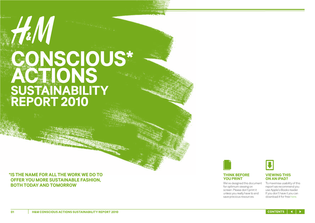 Conscious* Actions Sustainability Report 2010