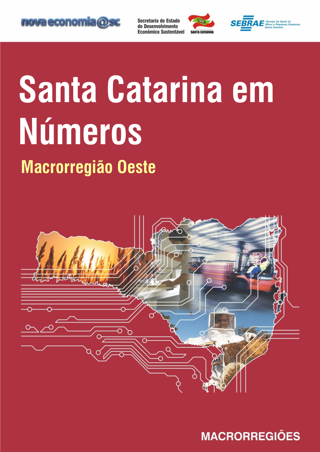 Santa Catarina Em Números Macrorregião Oeste