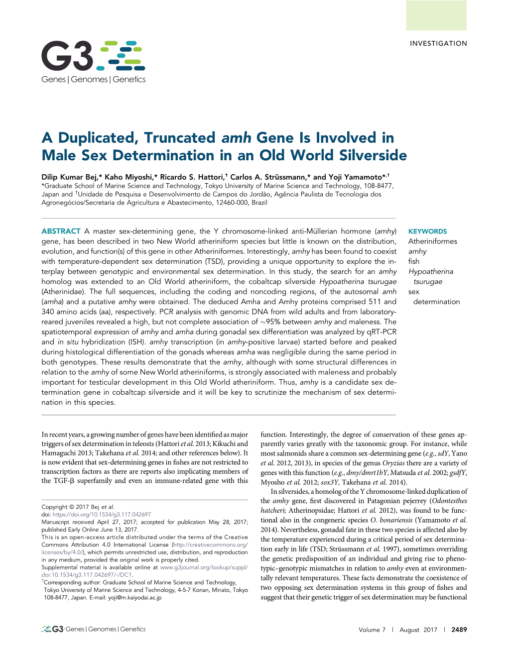 A Duplicated, Truncated Amh Gene Is Involved in Male Sex Determination in an Old World Silverside