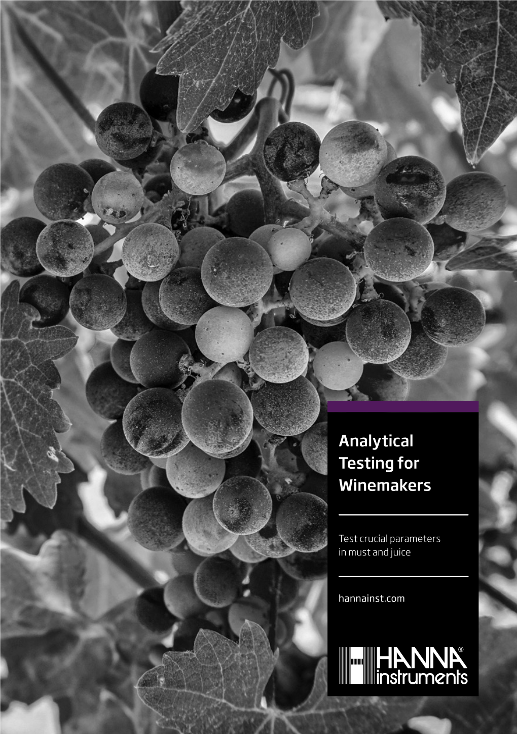 Analytical Testing for Winemakers