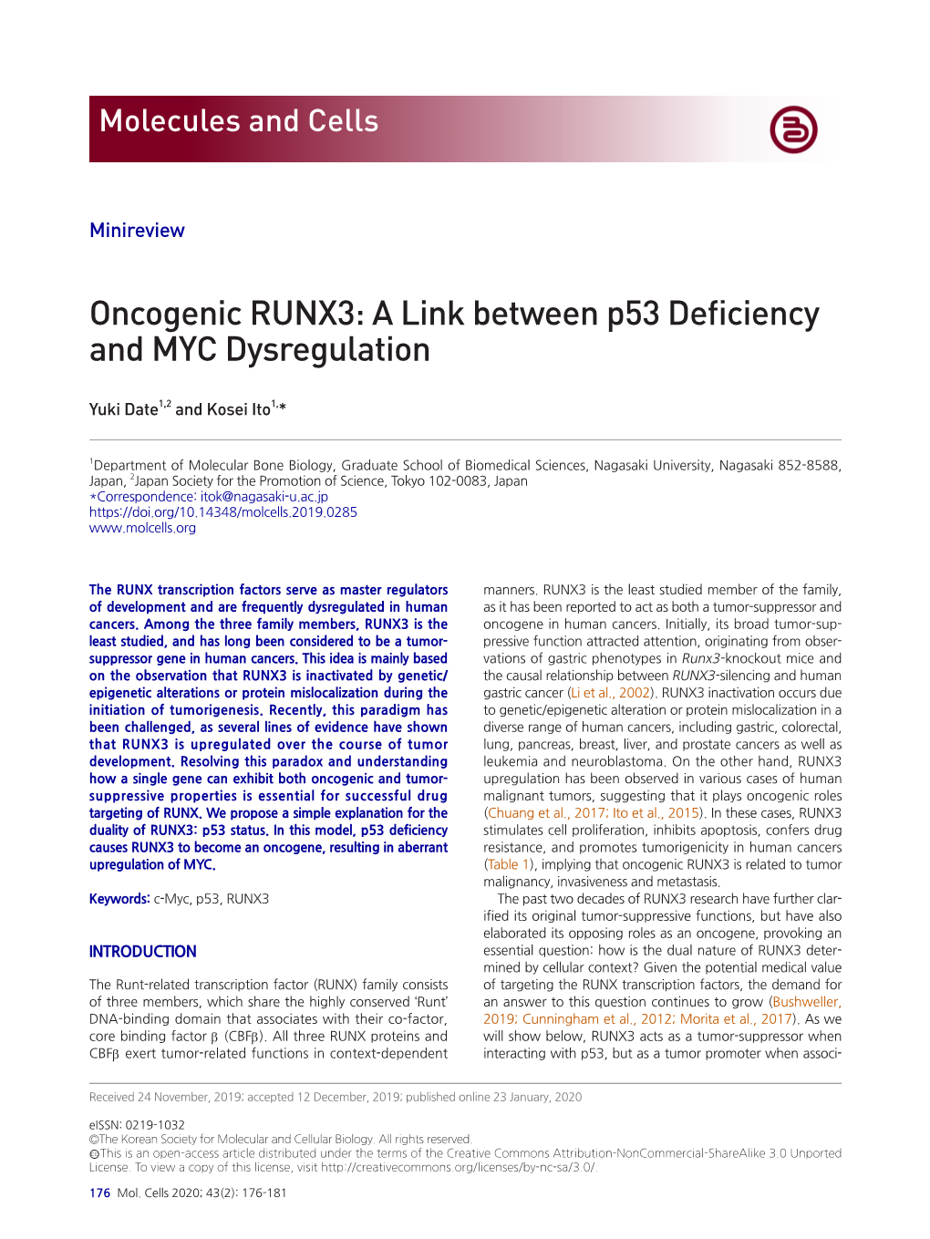 Oncogenic RUNX3: a Link Between P53 Deficiency and MYC Dysregulation