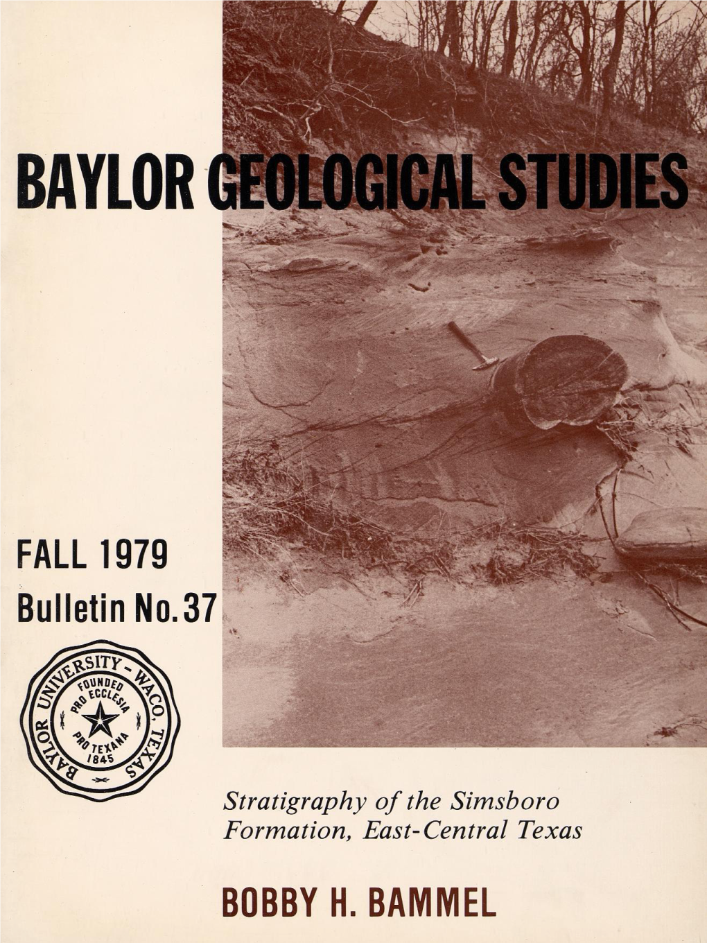 Stratigraphy of the Simsboro Formation, Texas