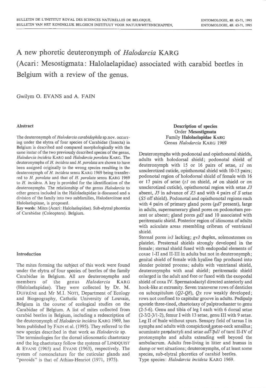 A New Phoretic Deuteronymph of Halodarcia KARG (Acari: Mesostigmata: Halolaelapidae) Associated with Carabid Beetles in Belgium with a Review of the Genus