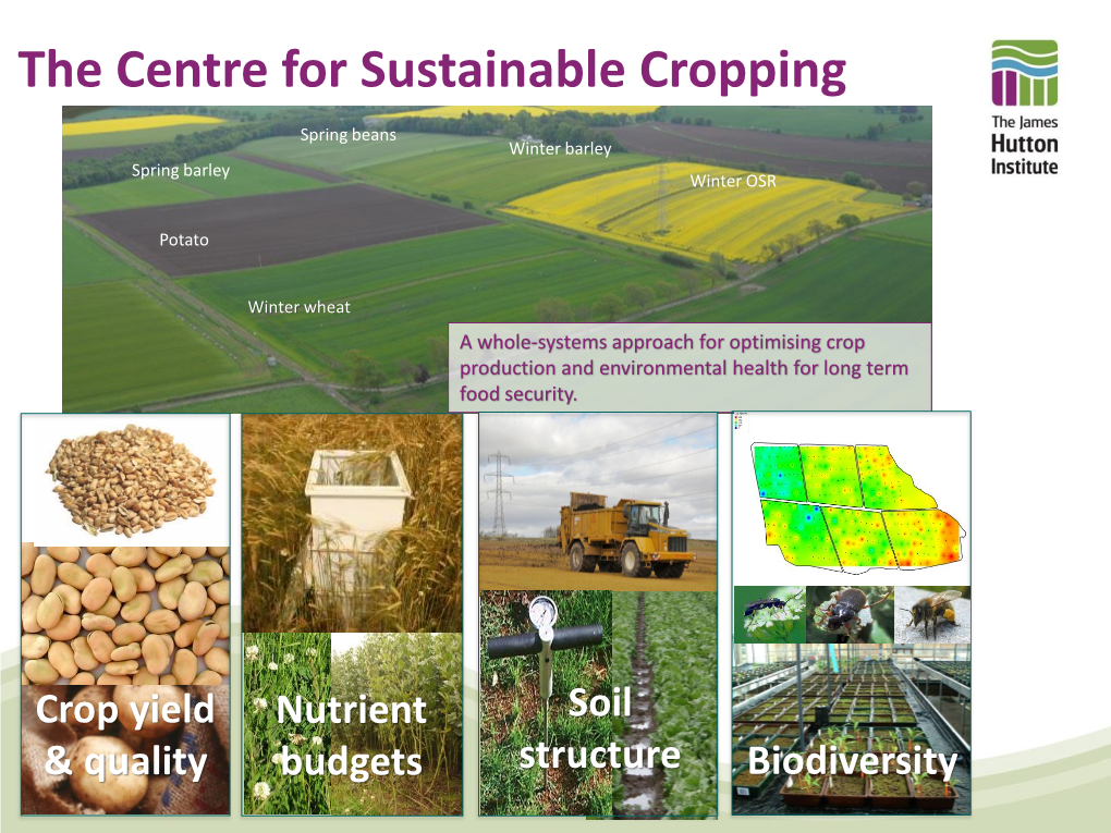 The Centre for Sustainable Cropping