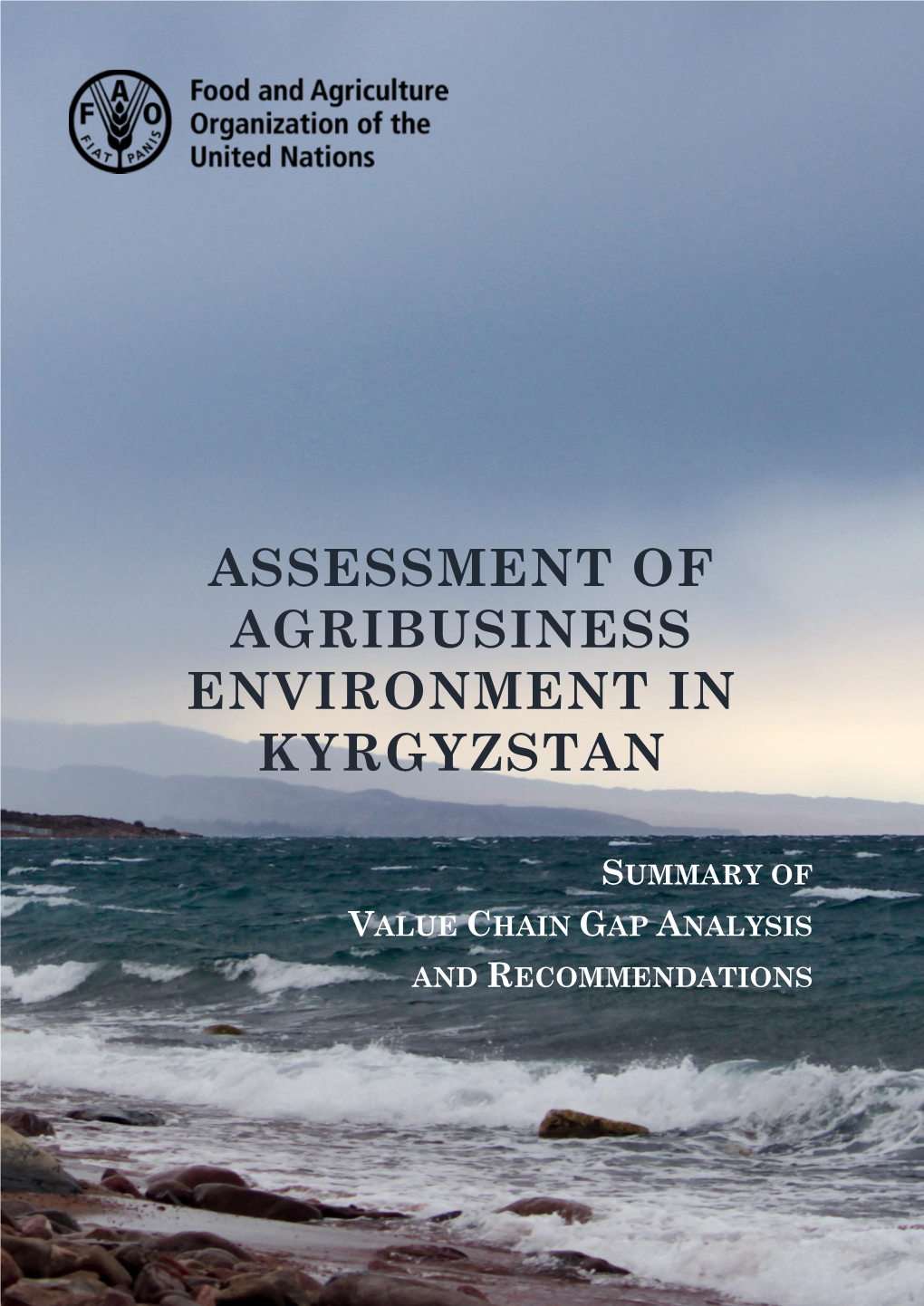 Kyrgyzstan Value Chain Gap Analysis