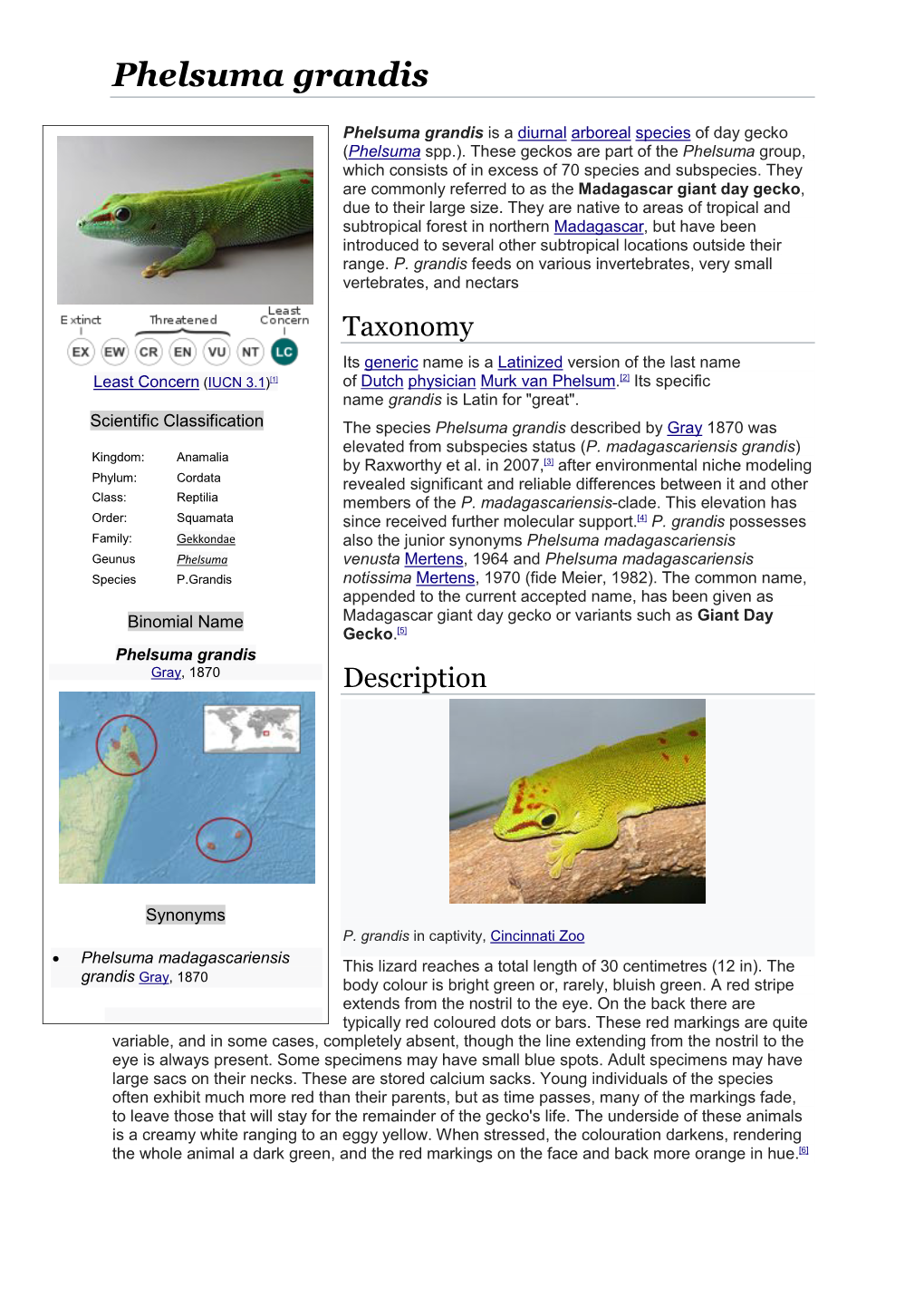 Phelsuma Grandis