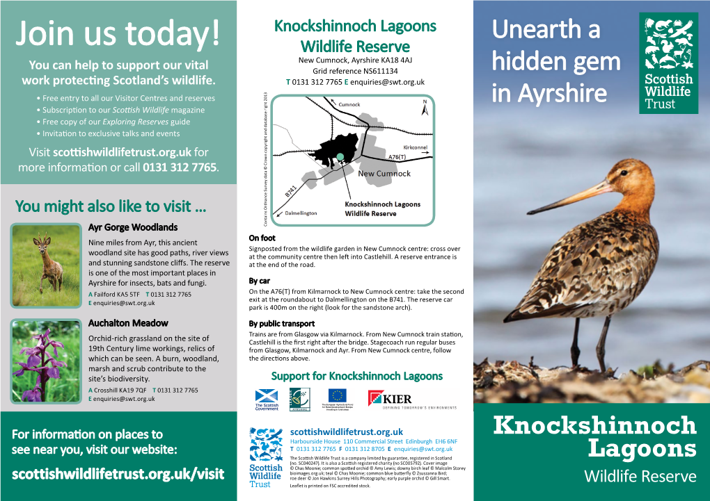 Knockshinnoch Lagoons Wildlife Reserve Unearth a Hidden Gem Discover the Secrets of Knockshinnoch Lagoons Wildlife Reserve Visitor Information