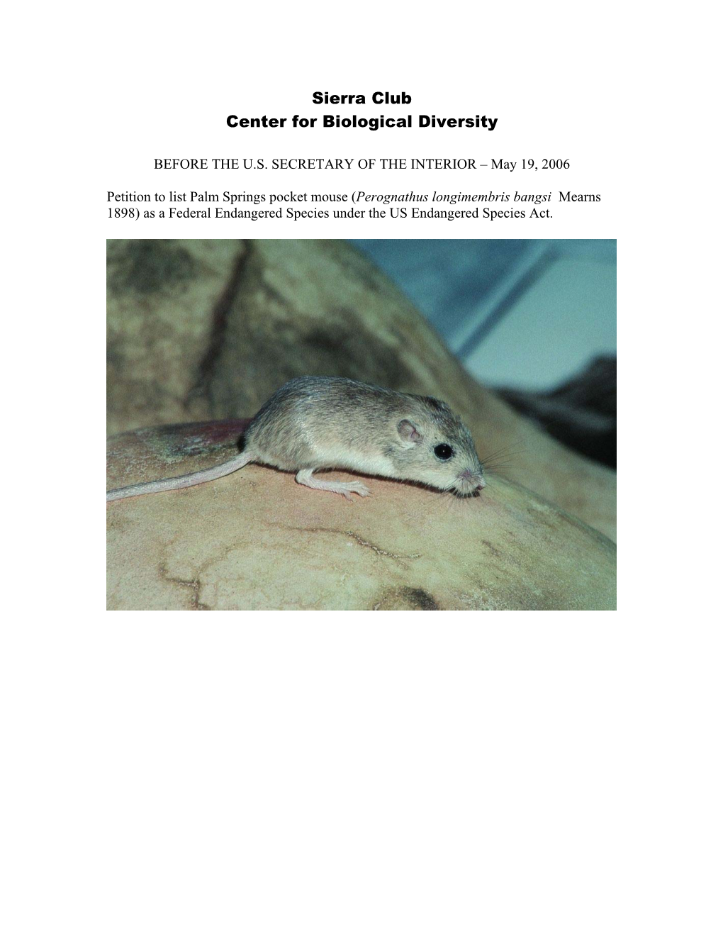 Palm Springs Pocket Mouse (Perognathus Longimembris Bangsi Mearns 1898) As a Federal Endangered Species Under the US Endangered Species Act