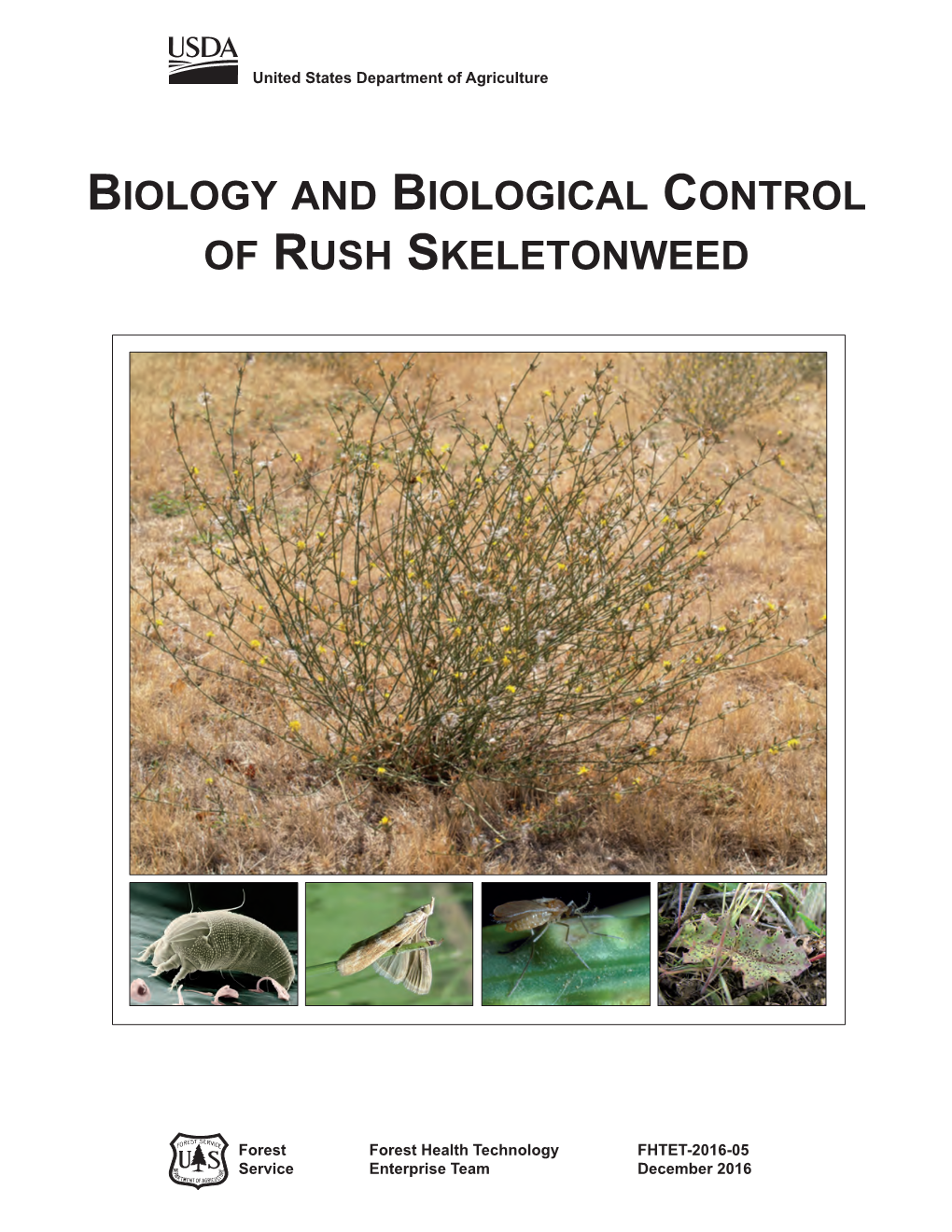 Biology and Biological Control of Rush Skeletonweed