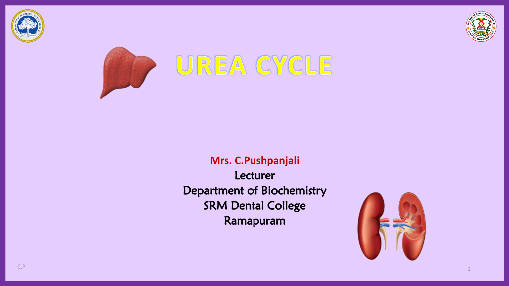 Urea Cycle-Mrs.C.Pushpanjali