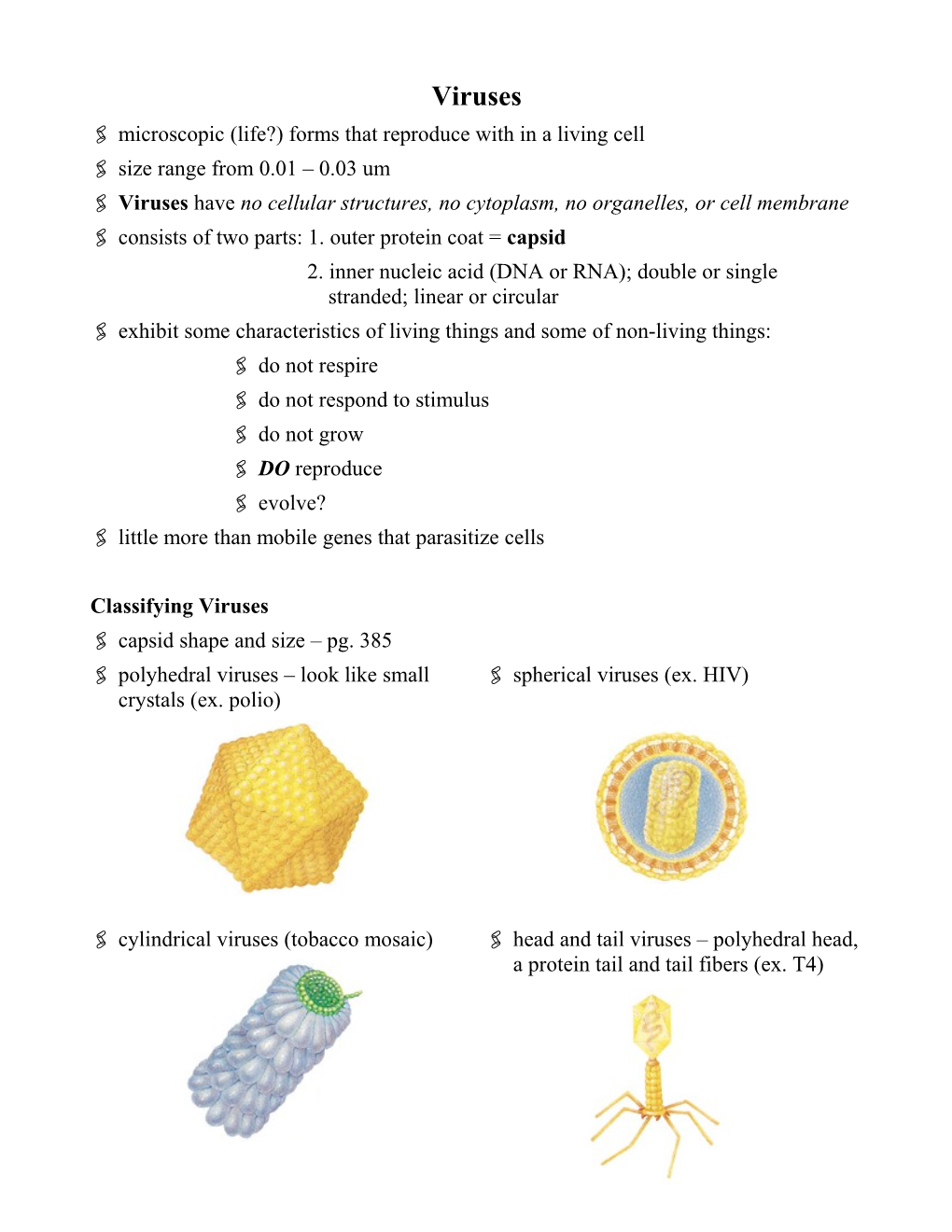 ' Microscopic (Life?) Forms That Reproduce with in a Living Cell