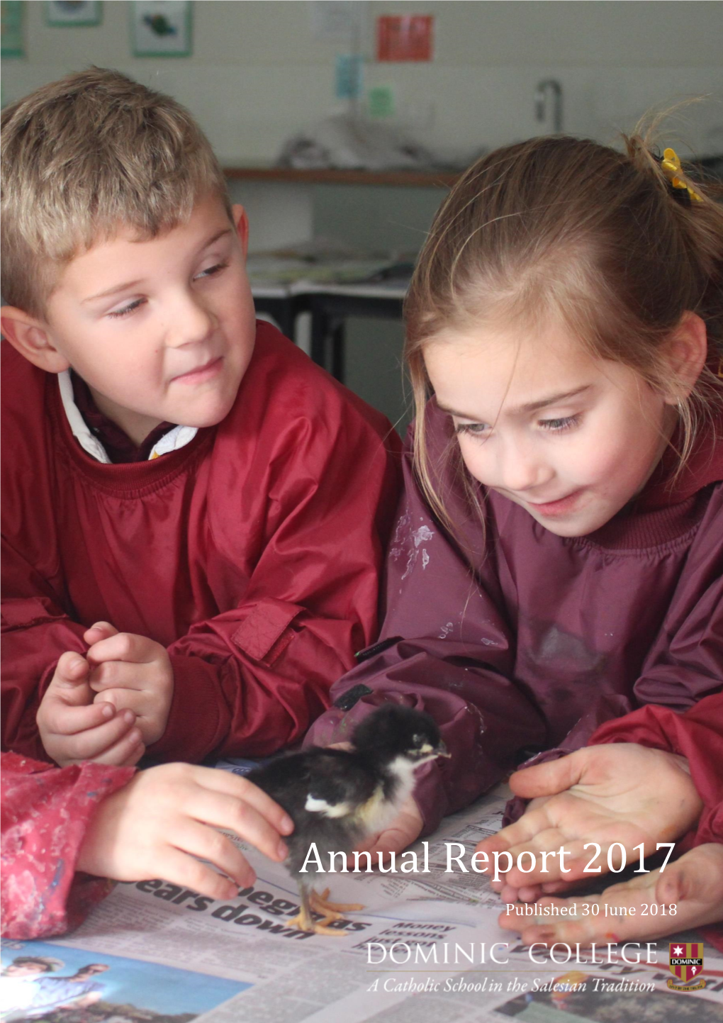 Annual Report 2017