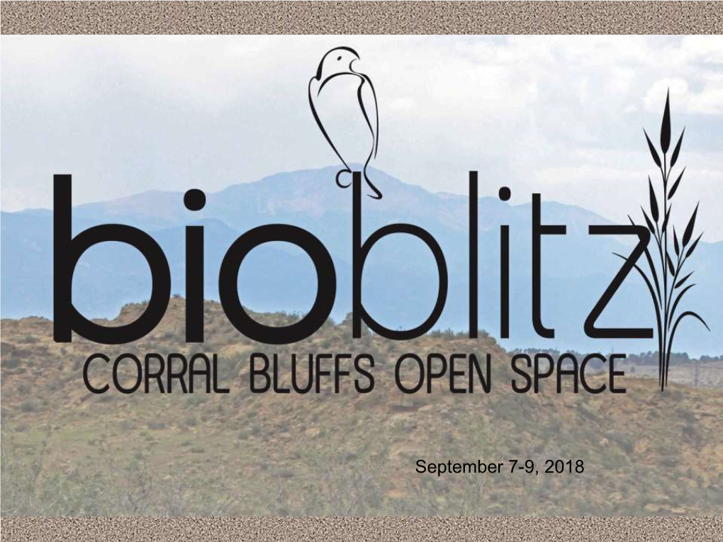 September 7-9, 2018 a Bioblitz Is an Intense Period of Biological Surveying in an Attempt to Record All the Living Species Within a Designated Area