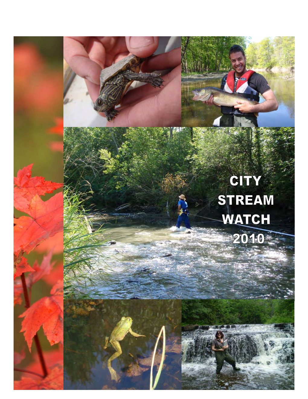 City Stream Watch 2010 Annual Report
