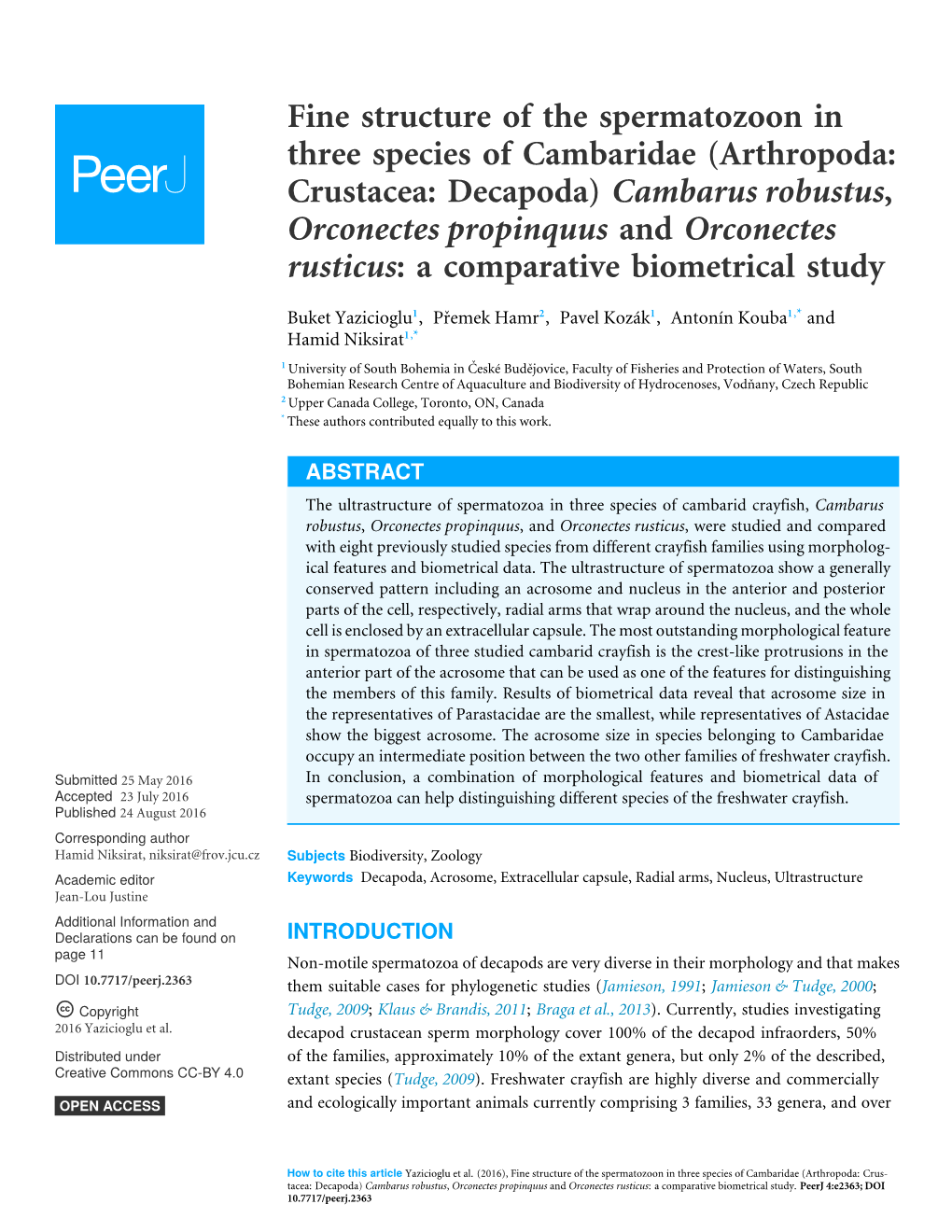 Fine Structure of the Spermatozoon in Three Species Of