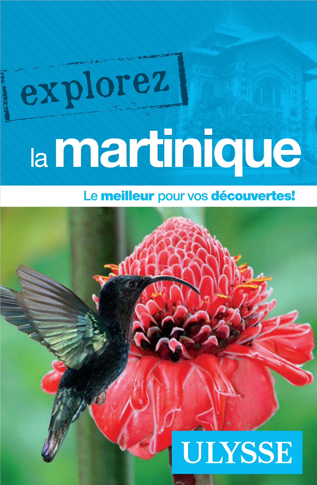 Explorez La Martinique Comprend Un Index