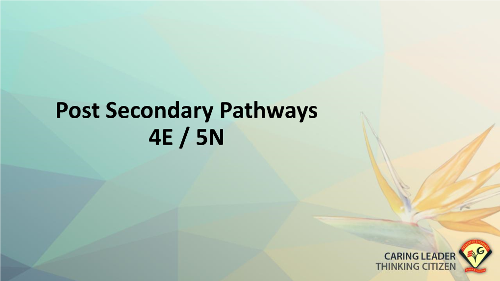 Post Secondary Pathways 4E / 5N the 3 Important ECG Questions Post-Secondary Pathways Junior Colleges/Millenia Institute