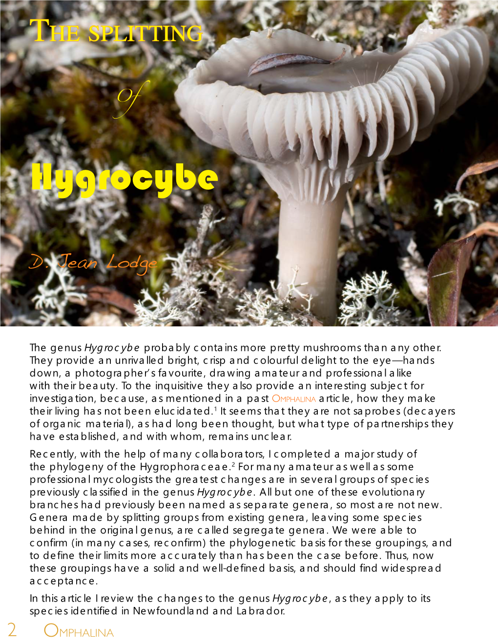 The Splitting of Hygrocybe