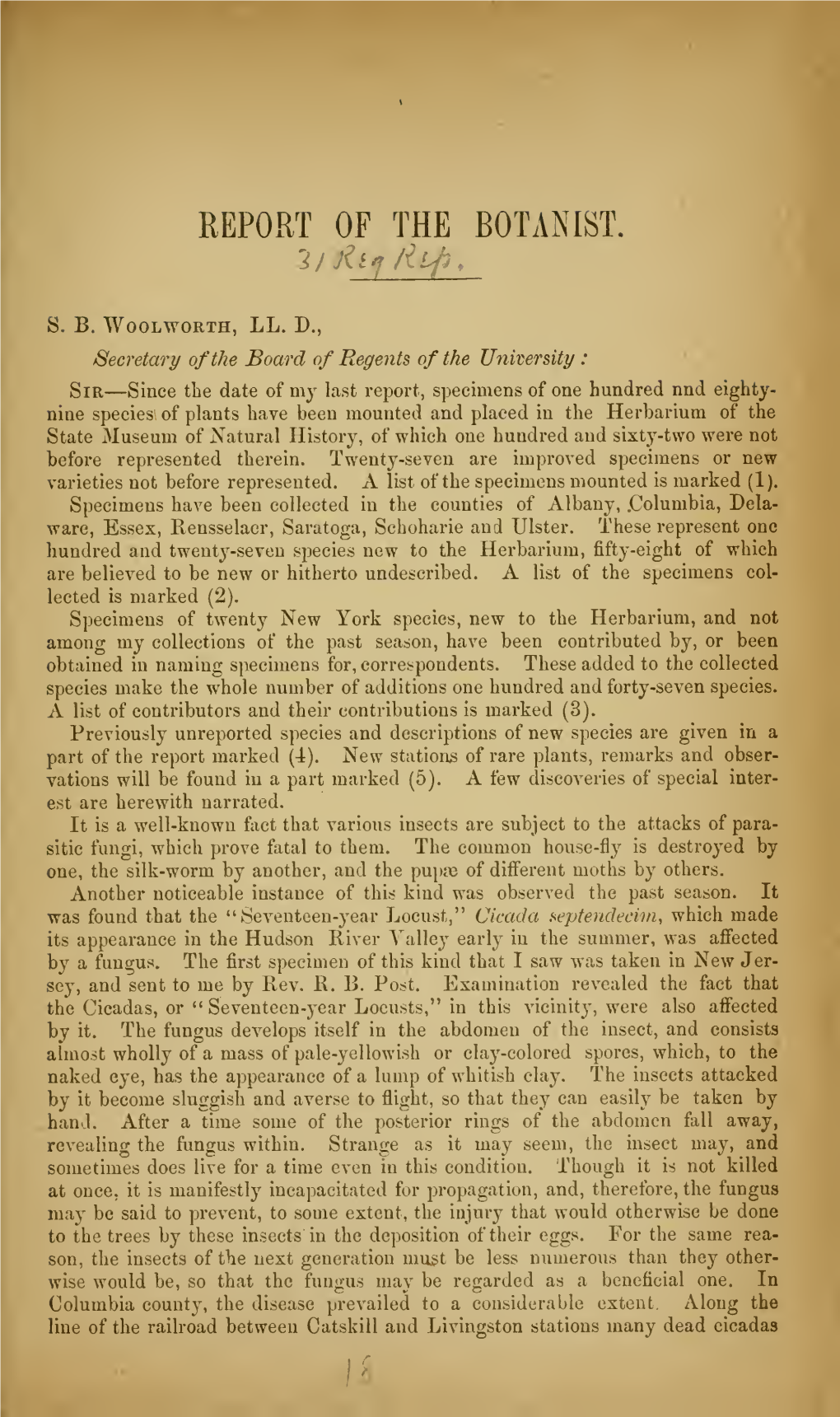 Report of the Botanist 1877