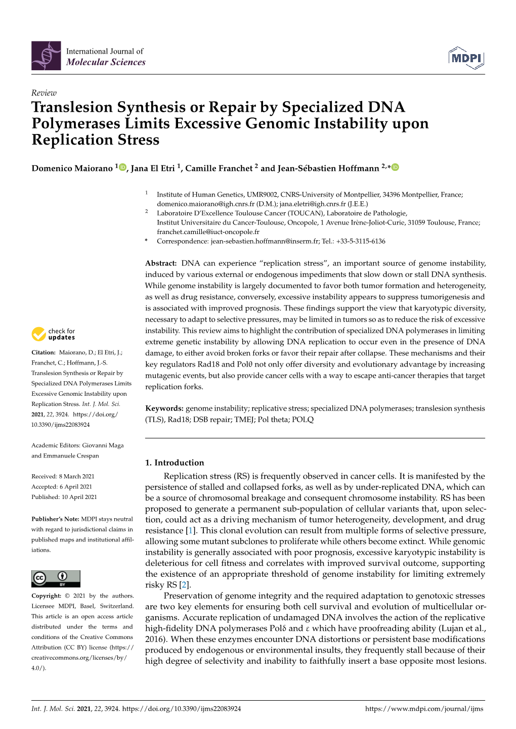 Translesion Synthesis Or Repair by Specialized DNA Polymerases Limits Excessive Genomic Instability Upon Replication Stress