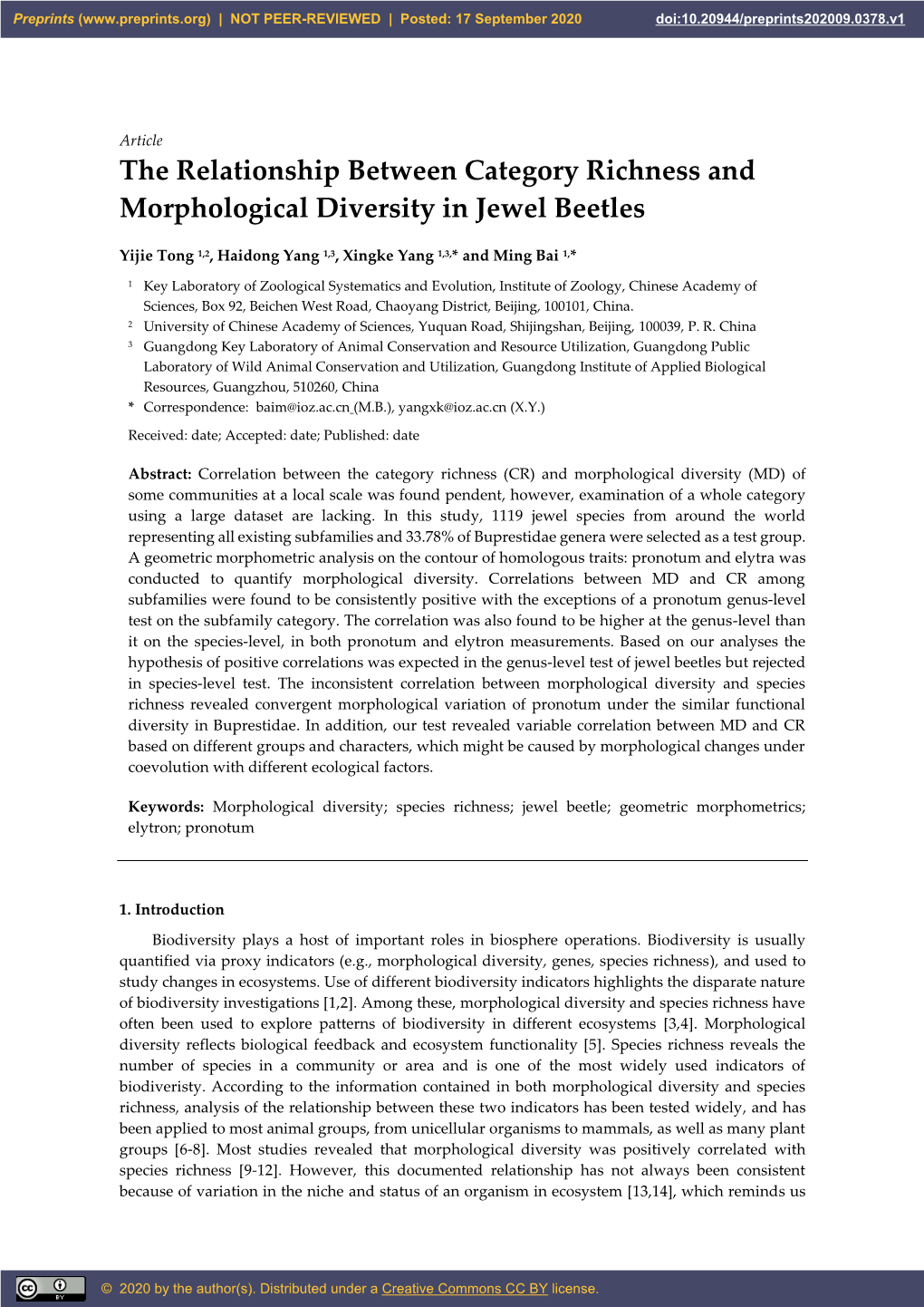 The Relationship Between Category Richness and Morphological Diversity in Jewel Beetles