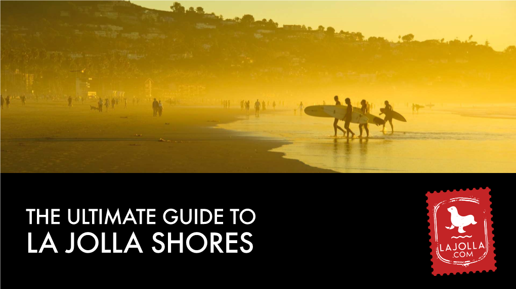 Ultimate Guide to La Jolla Shores