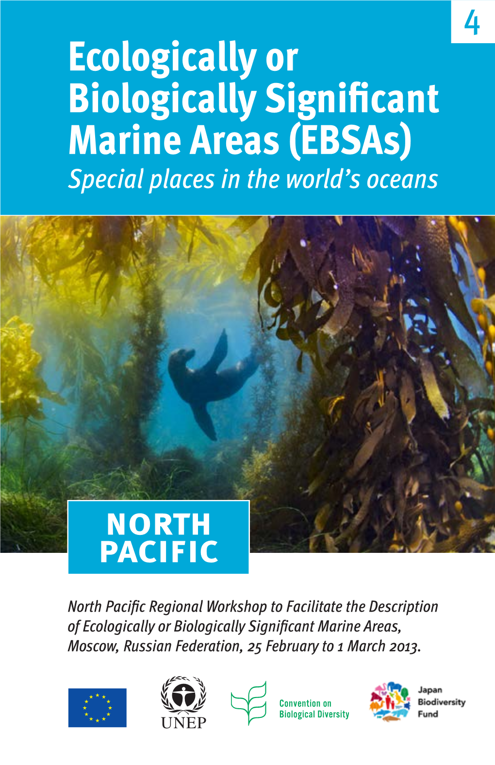 Ecologically Or Biologically Significant Marine Areas (Ebsas) Special Places in the World’S Oceans