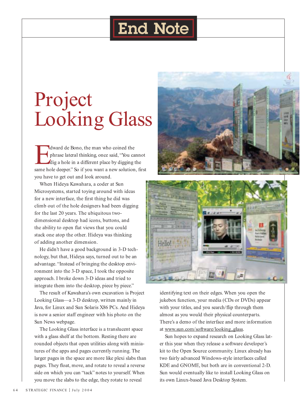 Project Looking Glass