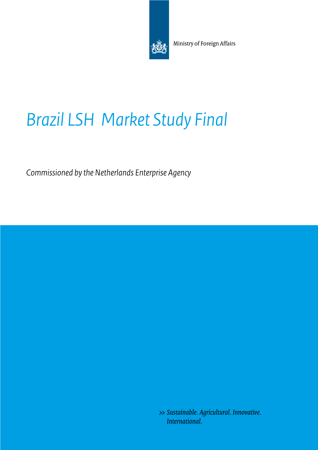 Brazil LSH Market Study Final