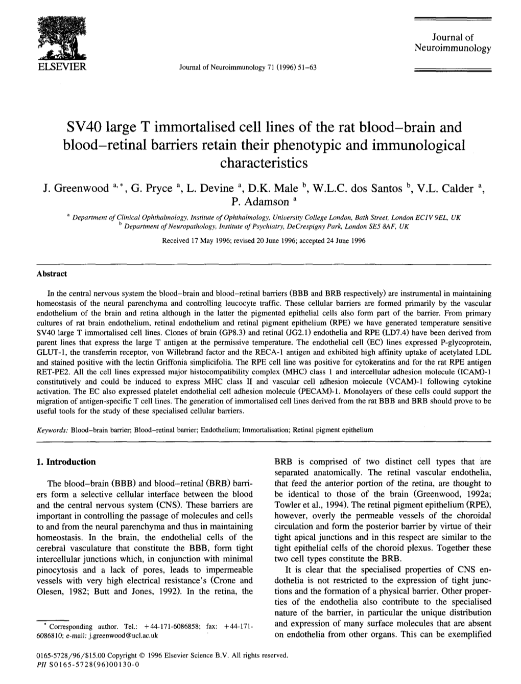 SV40 Large T Immortalised Cell Lines of the Rat Blood–Brain and Blood–Retinal Barriers Retain Their Phenotypic and Immunological Characteristics