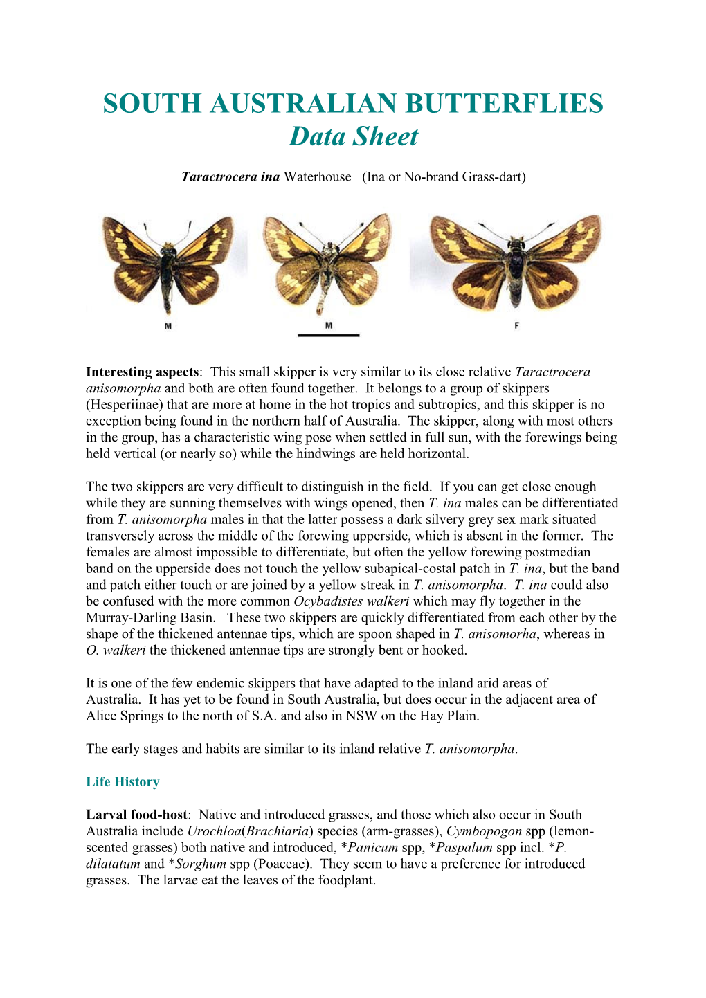 SOUTH AUSTRALIAN BUTTERFLIES Data Sheet