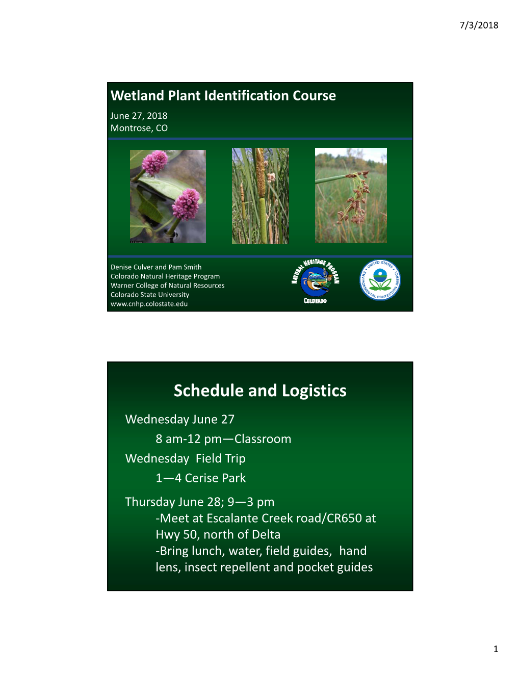 Wetland Plant Identification Course, 2018