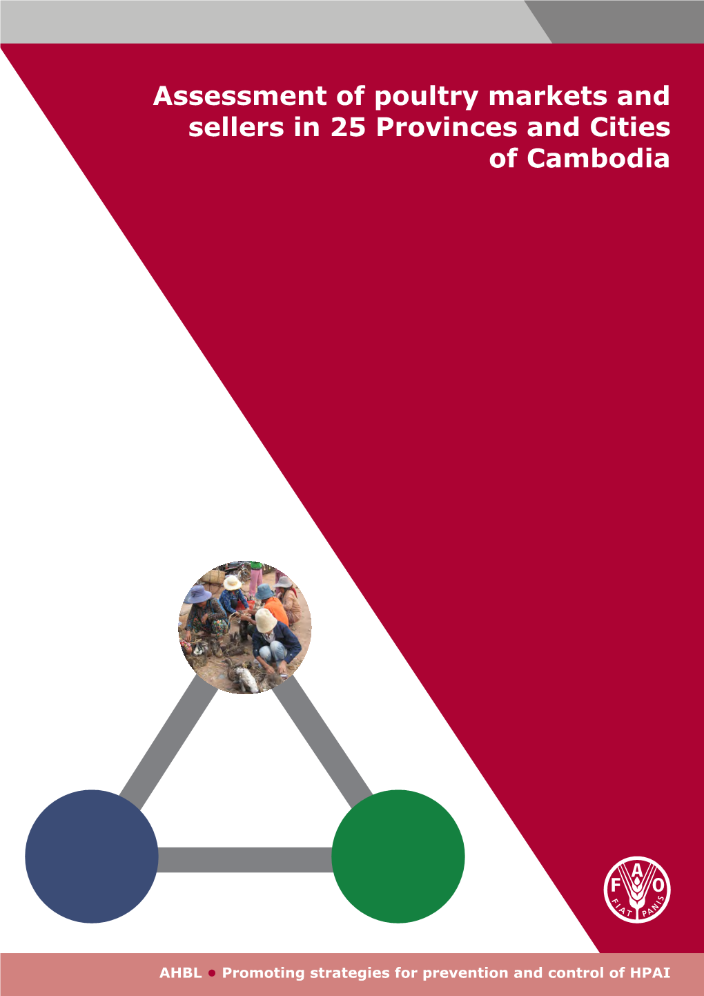 Assessment of Poultry Markets and Sellers in 25 Provinces and Cities of Cambodia