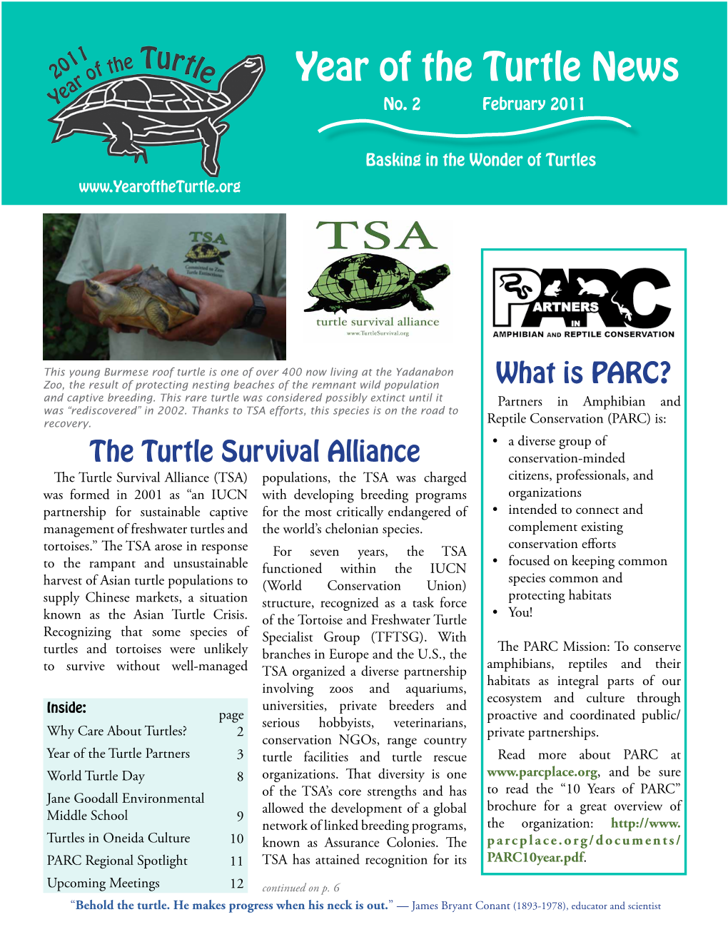 Year of the Turtle News No