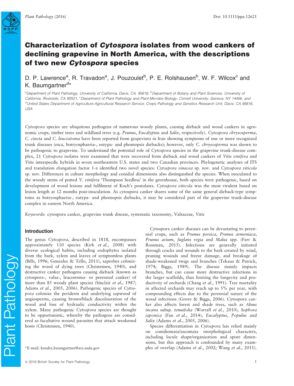 Characterization of Cytospora Isolates from Wood Cankers of Declining Grapevine in North America, with the Descriptions of Two New Cytospora Species