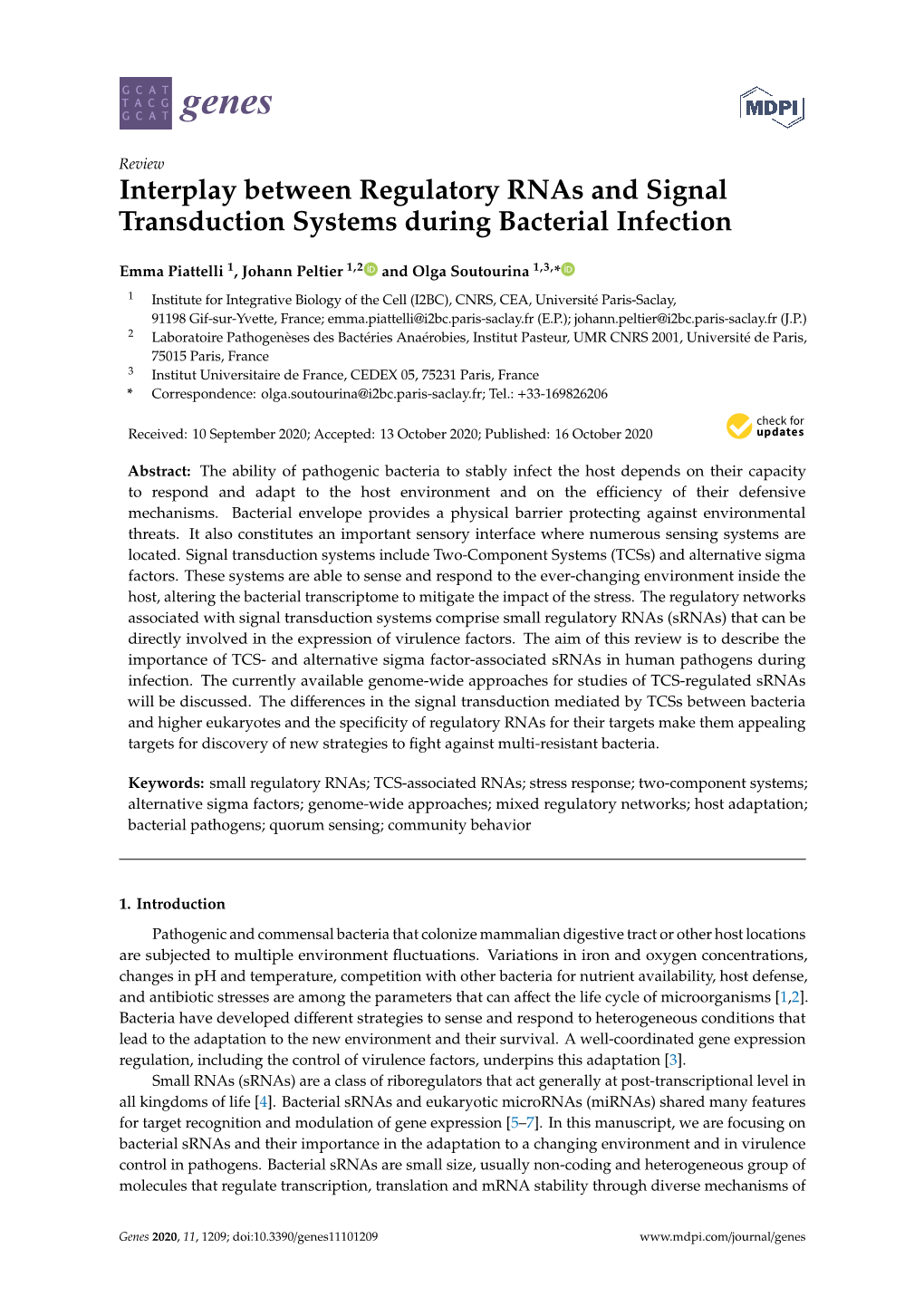 Interplay Between Regulatory Rnas and Signal Transduction Systems During Bacterial Infection