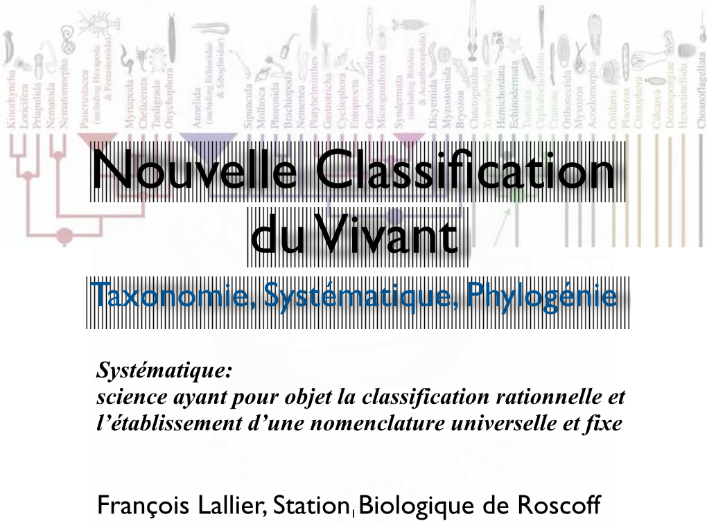 De L'espèce À Gaïa Systématique, Phylogénie Et Biodiversité