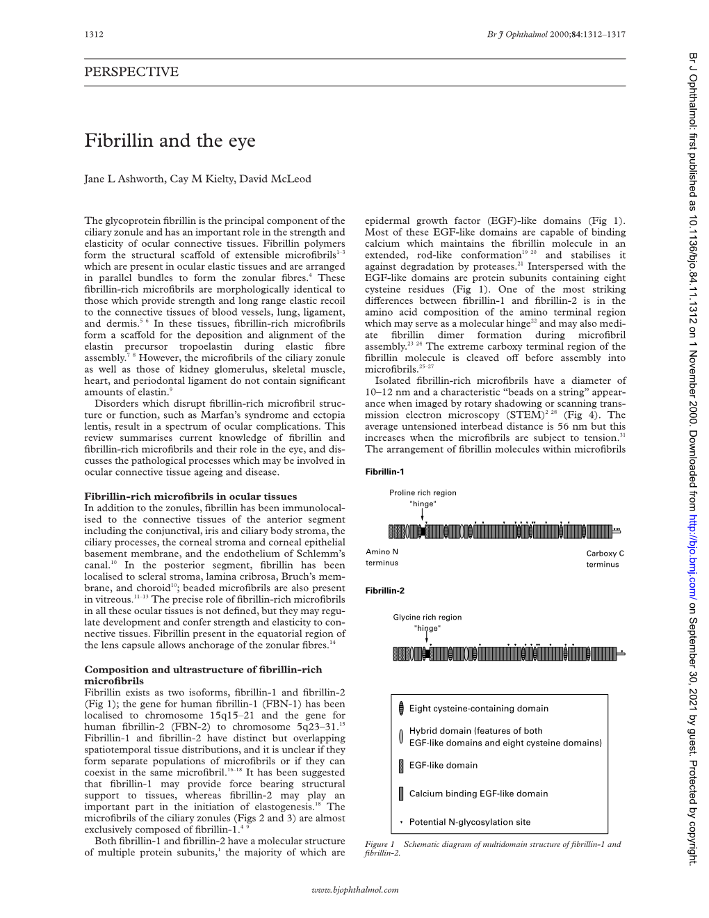 Fibrillin and the Eye