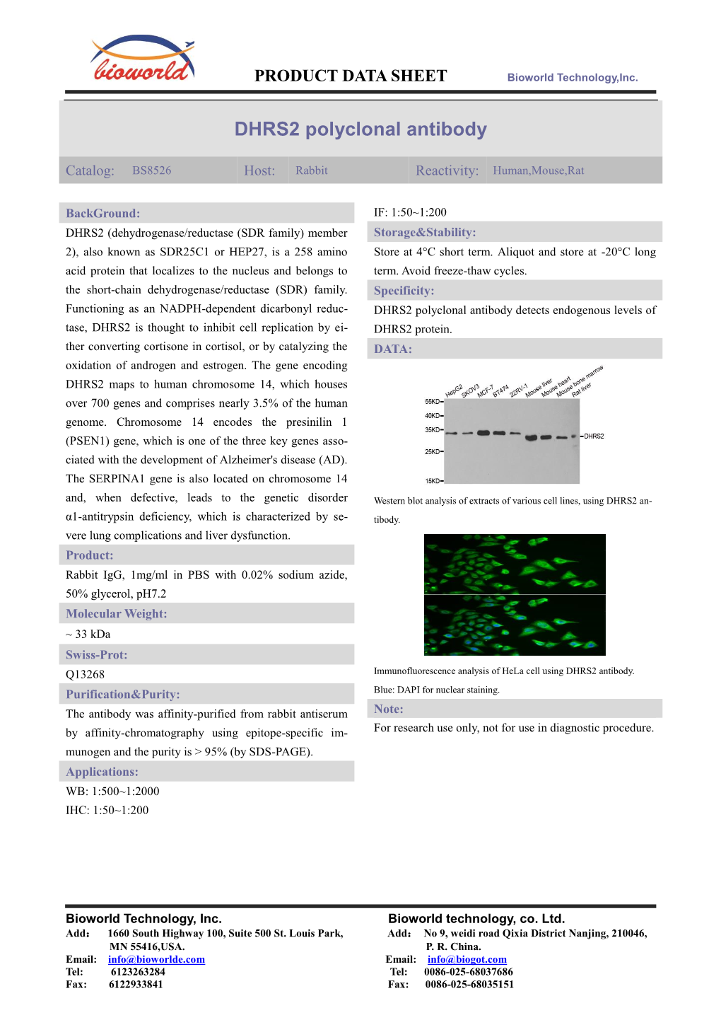 DHRS2 Polyclonal Antibody