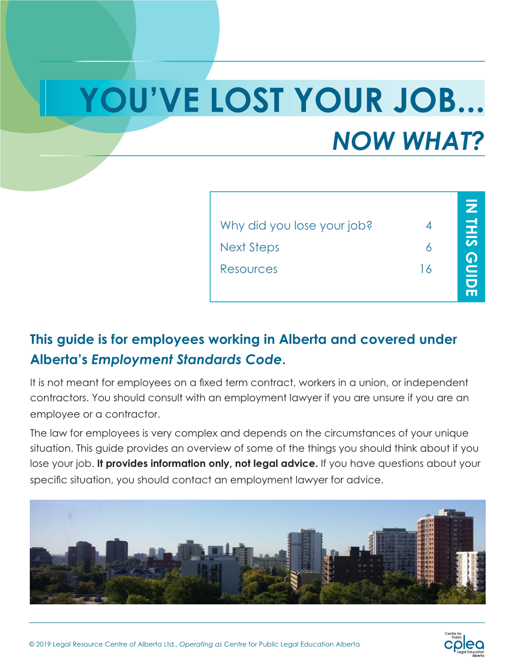 You've Lost Your Job … Now What?